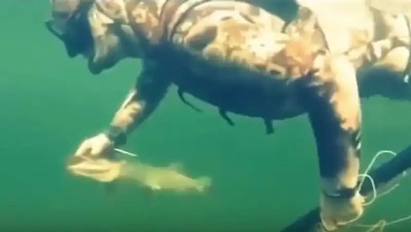 В Сети появилось видео подводной охоты Путина на щуку