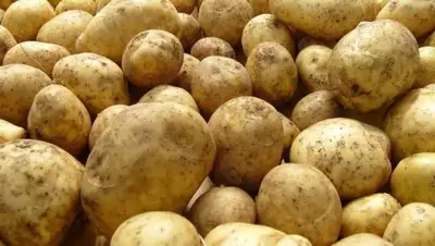 Zakon.kz, фото - Новости Zakon.kz от 14.09.2017 14:38