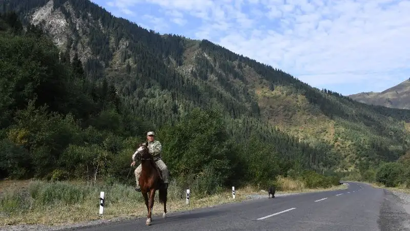 Изменились правила проведения экзамена по охотничьему минимуму