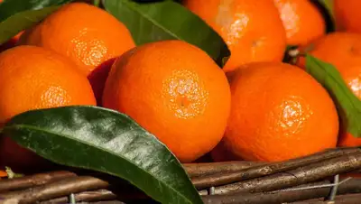 диетолог, еда, фото - Новости Zakon.kz от 28.11.2022 17:41