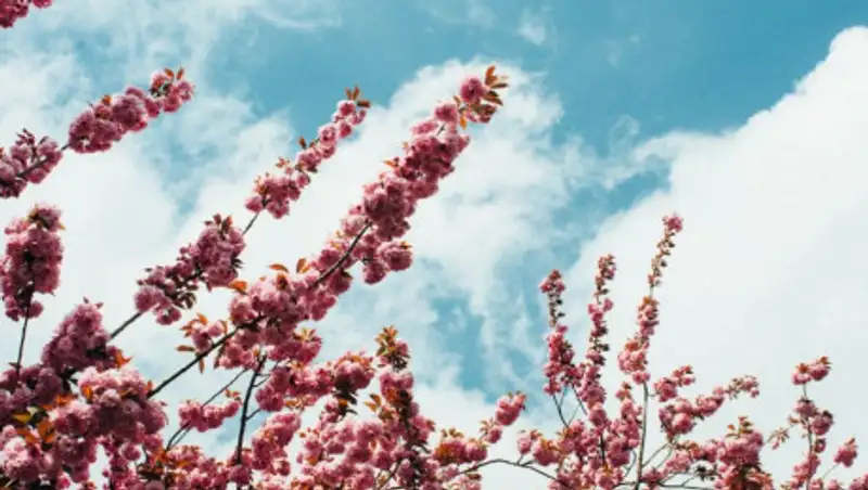 Чего ждать от погоды 15 мая в Казахстане