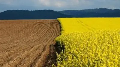 Zakon.kz, фото - Новости Zakon.kz от 13.08.2016 19:51