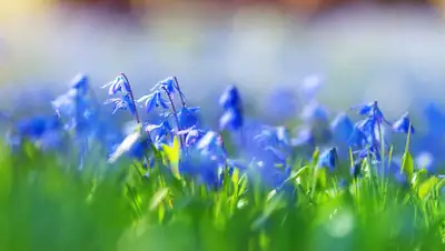 Fragrantica.ru, фото - Новости Zakon.kz от 23.05.2019 09:28