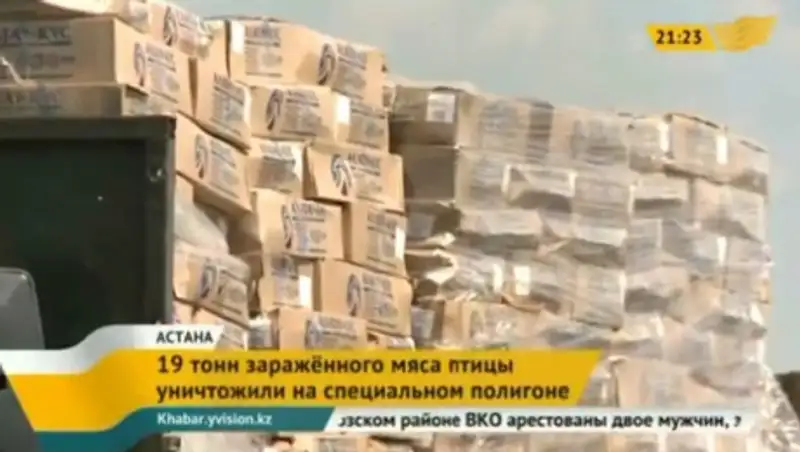 19 тонн зараженного мяса птицы уничтожили в Астане