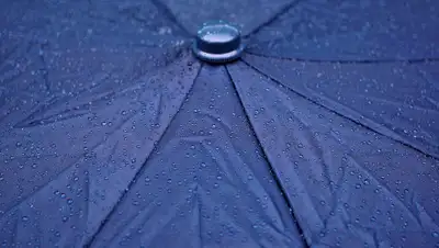 Pixabay, фото - Новости Zakon.kz от 24.08.2019 07:10