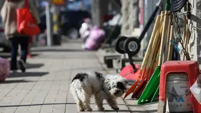 © РИА Новости / Рамиль Ситдиков, фото - Новости Zakon.kz от 09.02.2018 09:19