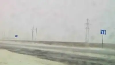 utv.ru, фото - Новости Zakon.kz от 08.03.2021 22:29