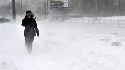 Zakon.kz, фото - Новости Zakon.kz от 04.01.2015 17:53