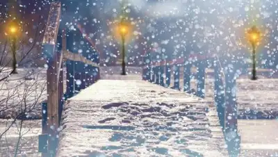 PrimaMedia, фото - Новости Zakon.kz от 28.11.2018 12:20