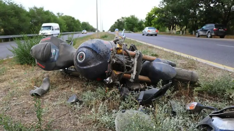 В Алматинской области из-за табуна лошадей в аварии пострадали два человека