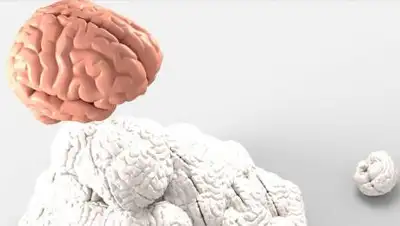 pixabay.com, фото - Новости Zakon.kz от 10.03.2021 18:36