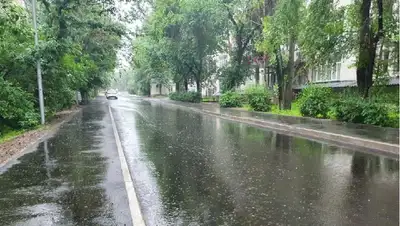 дождь , фото - Новости Zakon.kz от 03.06.2022 12:35
