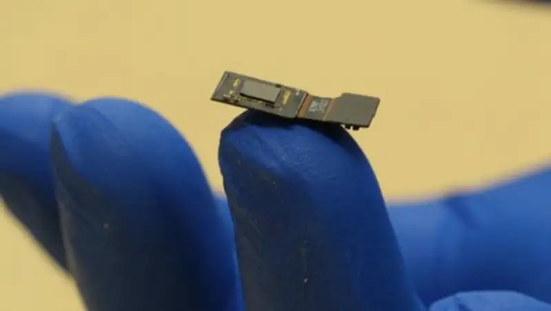 В США разрабатывают мозговой имплант, способный вернуть зрение и слух