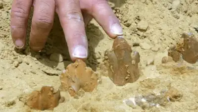 Zakon.kz, фото - Новости Zakon.kz от 16.06.2015 13:06