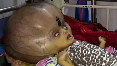 Zakon.kz, фото - Новости Zakon.kz от 09.01.2017 04:16