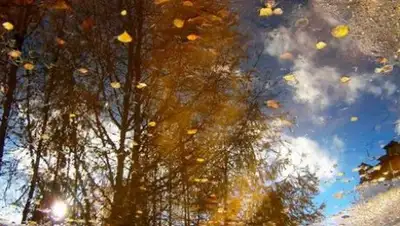 Zakon.kz, фото - Новости Zakon.kz от 12.09.2017 06:00