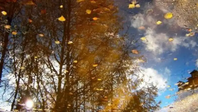 Синоптики обещают сильный ветер на всей территории Казахстана