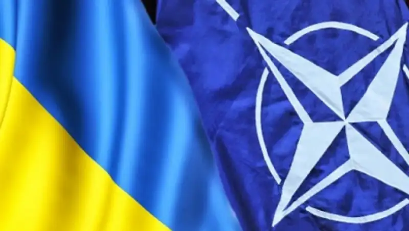 НАТО и Украина решили сотрудничать в сфере спецопераций