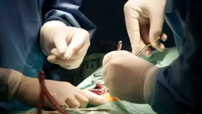 Zakon.kz, фото - Новости Zakon.kz от 11.04.2016 23:53