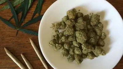 PxHere, фото - Новости Zakon.kz от 14.10.2021 20:56