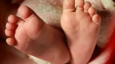 Zakon.kz, фото - Новости Zakon.kz от 06.04.2017 20:56