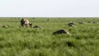 Zakon.kz, фото - Новости Zakon.kz от 27.09.2015 01:08