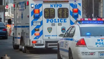 Zakon.kz, фото - Новости Zakon.kz от 12.08.2015 13:16