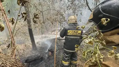 Минтруда проведет расследование по факту гибели людей при тушении пожара в Абайской области 