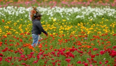 Zakon.kz, фото - Новости Zakon.kz от 23.03.2017 23:31