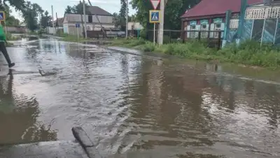 Zakon.kz, фото - Новости Zakon.kz от 30.06.2016 14:33