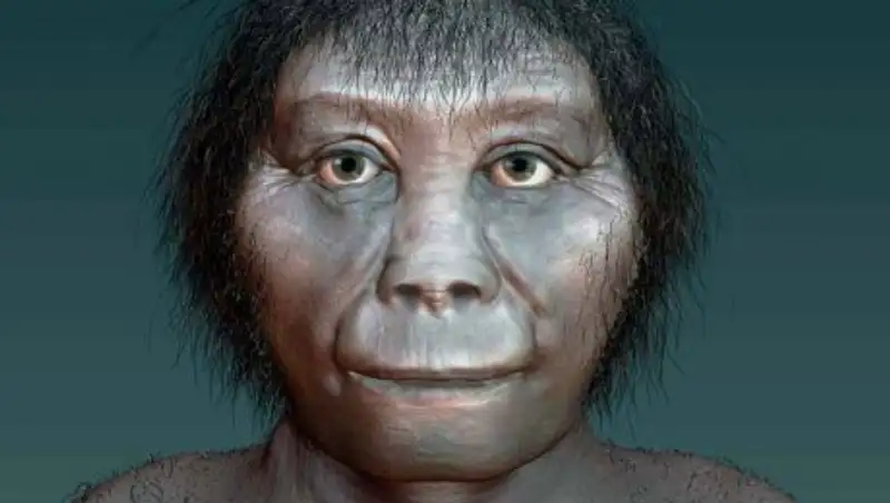 Ученые раскрыли тайну происхождения хоббитов