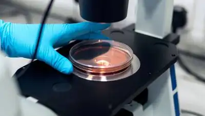 Environmental Health Perspectives, фото - Новости Zakon.kz от 10.06.2021 12:15