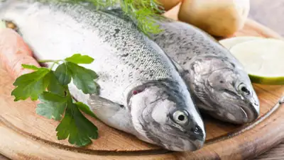 YouTube, фото - Новости Zakon.kz от 23.07.2019 10:28