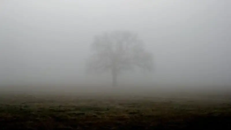 Туман и ветер прогнозируют казахстанские синоптики
