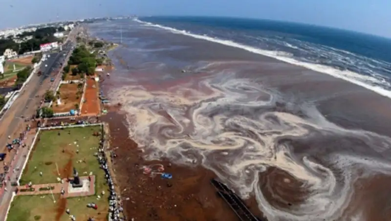 Мир вспоминает жертв катастрофического цунами 2004 года