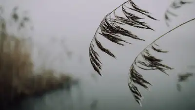 непогода, фото - Новости Zakon.kz от 09.03.2022 18:16