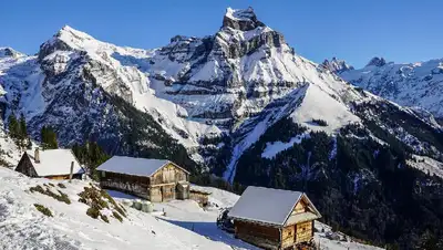 зима, фото - Новости Zakon.kz от 14.08.2022 09:42