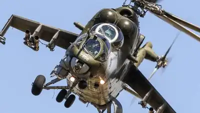 GoodFon, фото - Новости Zakon.kz от 28.02.2021 18:21