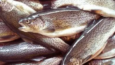 Zakon.kz, фото - Новости Zakon.kz от 21.04.2015 19:26