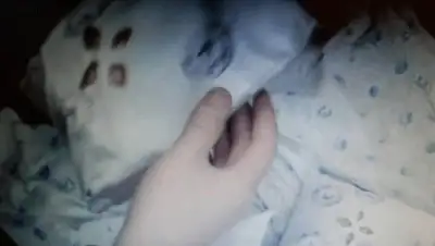 Zakon.kz, фото - Новости Zakon.kz от 07.12.2013 02:00