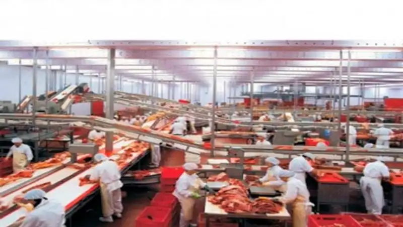 Совместное предприятие по переработке мяса построят на границе РК и КР