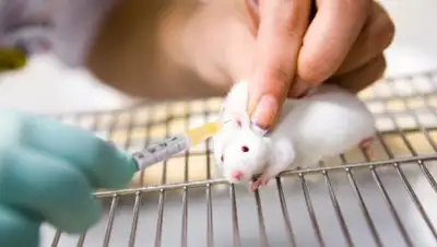 Zakon.kz, фото - Новости Zakon.kz от 16.11.2016 22:28