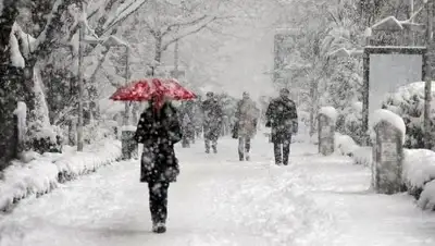 inform.kz, фото - Новости Zakon.kz от 14.02.2018 09:29