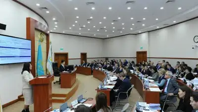 пресс-служба Мажилиса Парламента РК, фото - Новости Zakon.kz от 17.01.2019 18:29