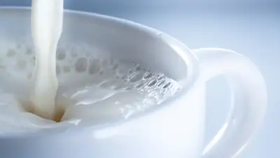 Zakon.kz, фото - Новости Zakon.kz от 23.02.2016 03:10