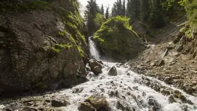 liter.kz, фото - Новости Zakon.kz от 01.09.2018 16:55