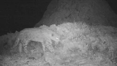 Zakon.kz, фото - Новости Zakon.kz от 19.09.2014 21:43