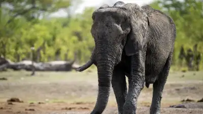 Zakon.kz, фото - Новости Zakon.kz от 18.01.2015 17:30