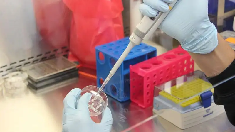 В Австралии невиновную женщину помиловали спустя 20 лет заключения в тюрьме