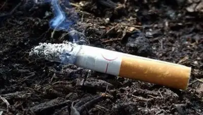 24.kz, фото - Новости Zakon.kz от 24.12.2018 22:58